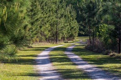 357 Wheeler Rd, Andrews, SC 29510 - photo 4
