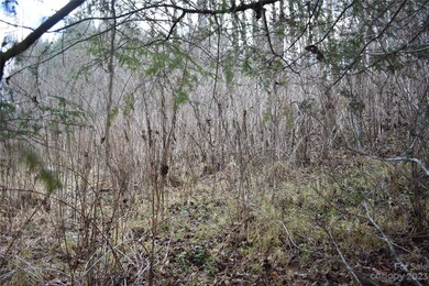 0000 Bradford Rd, Burnsville, NC 28714 - photo 4