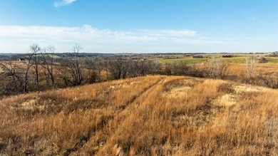 TBD Quincy St, Saint Charles, IA 50240 - photo 3