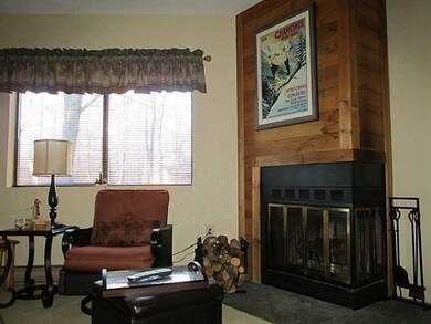 Other. Double sided wood burning fireplace.
