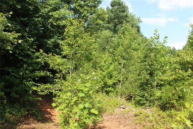 249 Donsdale Dr, Statesville, NC 28625 - photo 4