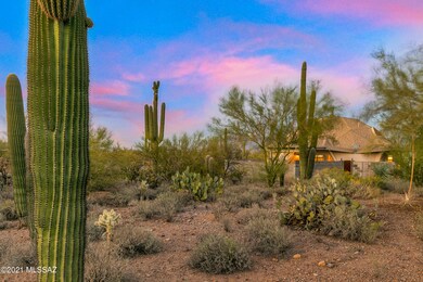 Surrounding Desert