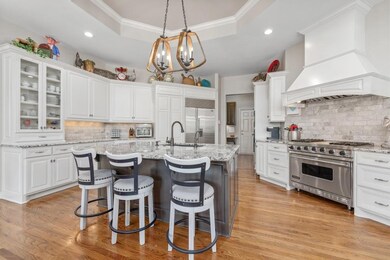 Kitchen with white cabinets, decorative backsplash, a tray ceiling, high end appliances, and crown molding
