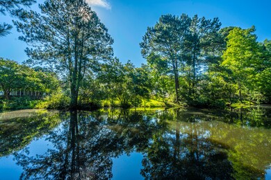 Pond Front