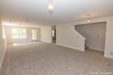 Lower level living area