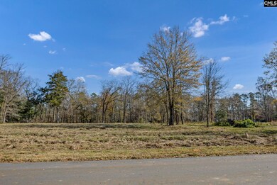 0 Lands End Ln unit 622663, Prosperity, SC 29127 - photo 6