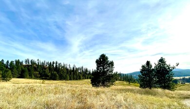 1617 U S 395, Chewelah, WA - photo 3