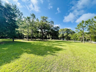 Lot from rear 4