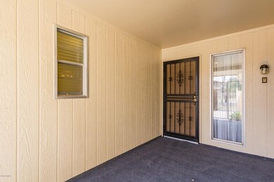 Wrought Iron Security Door Entry