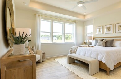 Tyndall Primary Suite