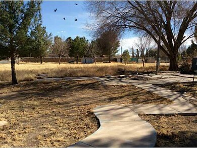 666 Richardson Rd, El Paso, TX 79927 - photo 7