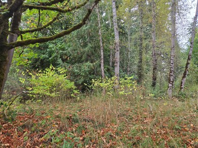 12628 208th Place NE, Union Hill-Novelty Hill, WA 98077 - photo 7