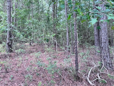 208 Ella Point, Lumberton, MS 39455 - photo 3