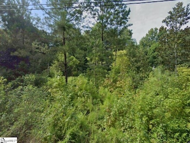 00 Caroline St, Laurens, SC 29360 - photo 2