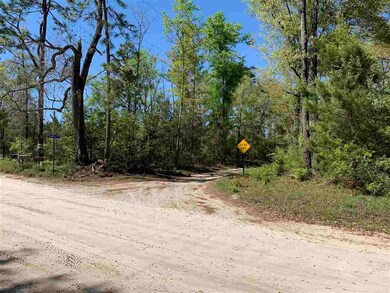 348 Cooperwood Rd, Crawfordville, FL 32327 - photo 6