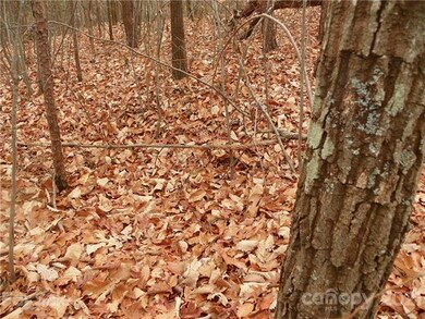 00 Sequoia Dr, Gastonia, NC 28052 - photo 4