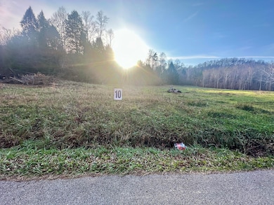 Lot 10 Hensley Rd, East Bernstadt, KY 40729 - photo 4