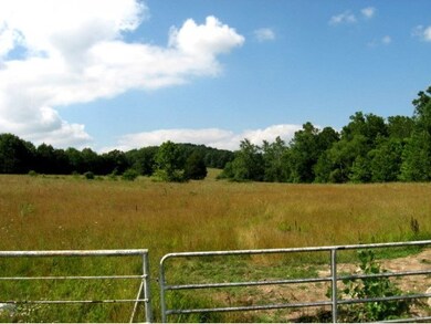 0 Farm Road 2080, Jenkins, MO 65605 - photo 4