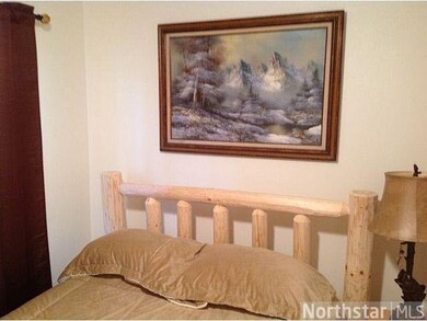 20080 247th Ave, Long Prairie, MN 56347 - photo 6