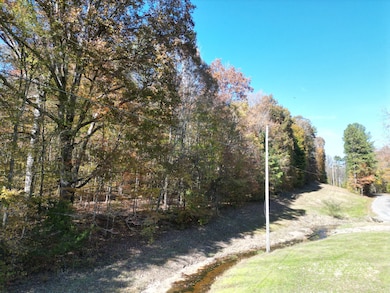 0 Jim Sutton Rd, Leoma, TN 38468 - photo 6