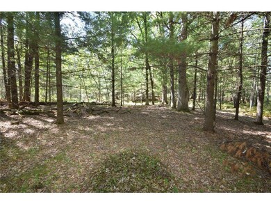 Lot #2 Olsen Road Rd, Webster, WI 54893 - photo 2