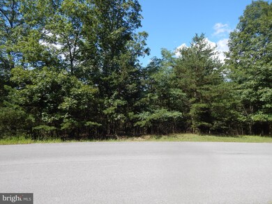 35 Montevideo Rd, Berkeley Springs, WV 25411 - photo 4