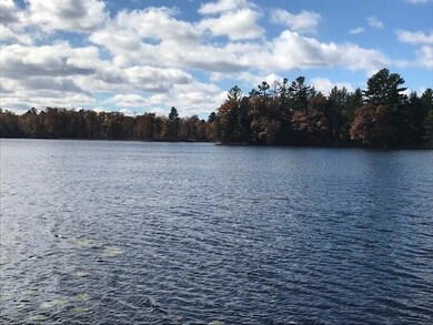 N2405 Two Bear Rd, Weyerhaeuser, WI 54895 - photo 5