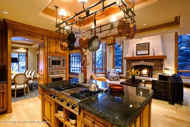 224 W Hallam St, Aspen, CO 81611 - photo 4