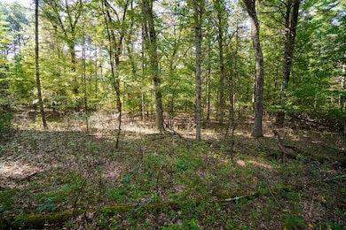 Lot 45 18th, Arkdale, WI 54613 - photo 5
