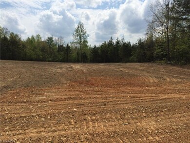 0 Holman Mill Rd unit 792585, 8, Newlin, NC 27349 - photo 6