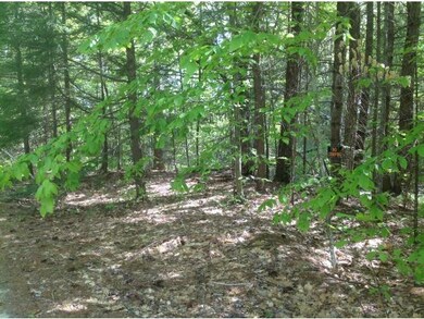 6 Trails End, Ossipee, NH 03814 - photo 2