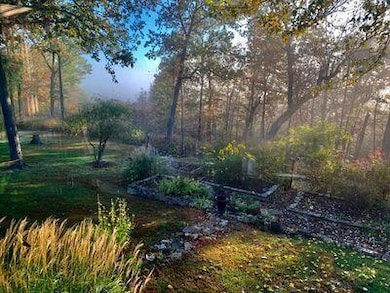 2050 Savage Rd, Kirbyville, MO 65679 - photo 7