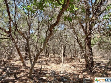 5267 Comanche Dr, Temple, TX 76502 - photo 4