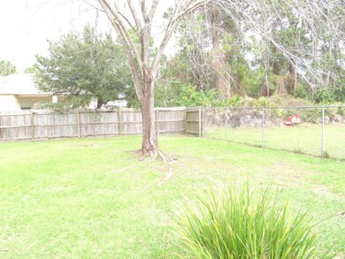 Another View of yard