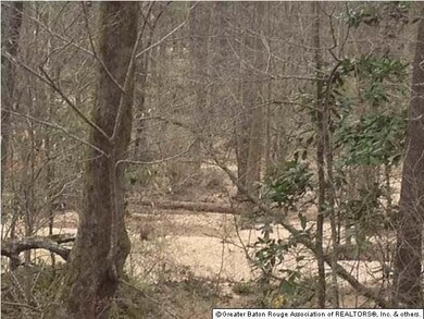 Sandy creek bottom