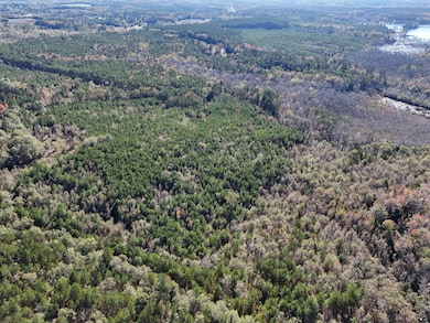 0 Mayrant Rd, Rembert, SC 29128 - photo 2