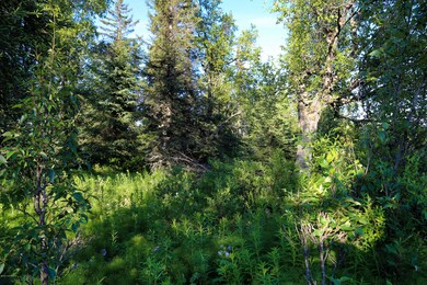 Stone River Lot 7