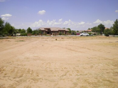 SANY0231