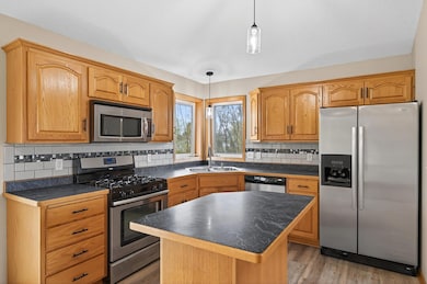 7669 386th St, North Branch, MN 55056 - photo 3