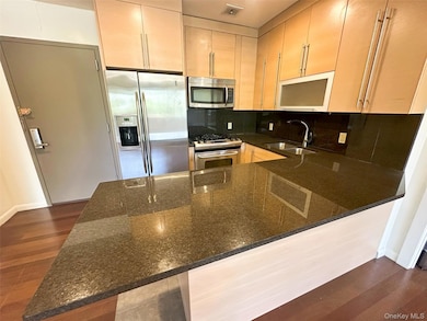 Kitchen featuring stainless steel appliances, dark stone countertops, a peninsula, and dark wood-type flooring