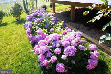 313 Upper Heyford Place, Purcellville, VA 20132 - photo 7