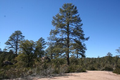 1902 E Phoenix St unit 5, Payson, AZ 85541 - photo 2