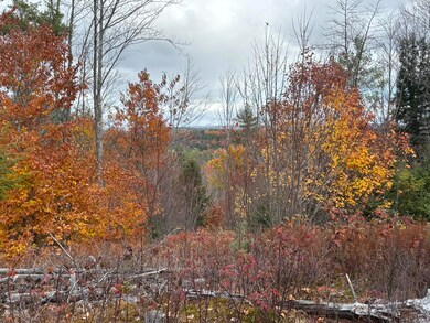 Main St - 11.43 Acres