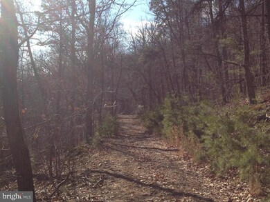 0 Battlefield Rd unit 1000121487, Strasburg, VA 22657 - photo 5