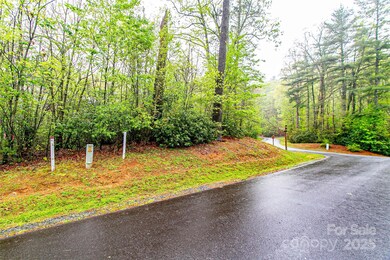 TBD High Hemlock Trail unit 46, Brevard, NC 28712 - photo 7