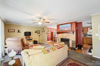 205 Sunrise Ridge Dr, Hendersonville, NC 28792 - photo 3