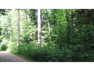 0 Woodland Acres unit 4424827, Eaton, NH 03832 - photo 3