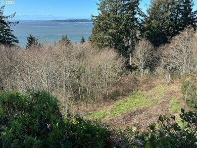 0 Ocean Ct unit 272814041, Bay City, OR 97107 - photo 5