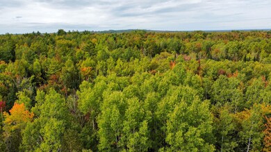 Lot 26 Wolf Run Trail, Greenbush, ME 04418 - photo 5