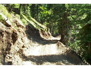 0 Bourne Rd unit 12065058, Sumpter, Or, OR 97877 - photo 5